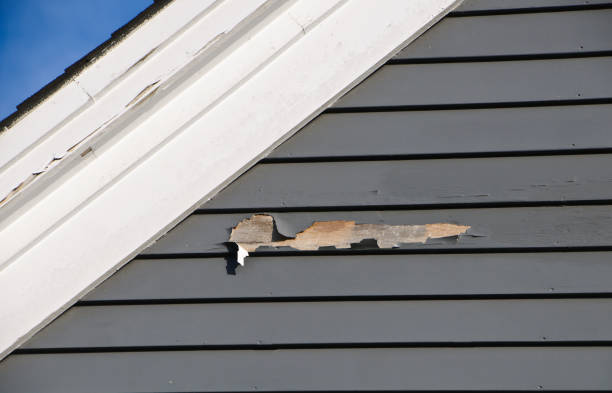 Trusted Buckner, MO Junk Removal Experts